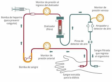 Diagrama

Descripción generada automáticamente